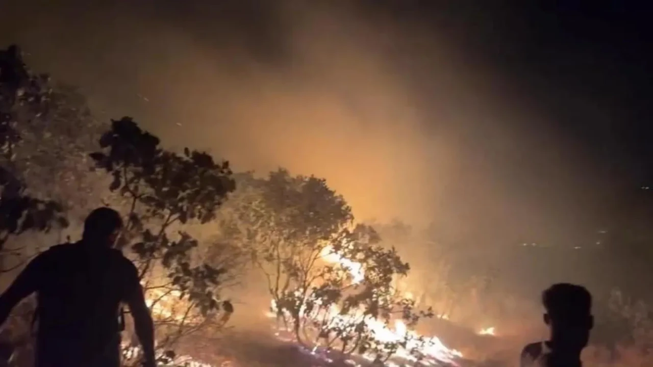 Diyarbakır'da Orman Yangını Kontrol Altına Alındı