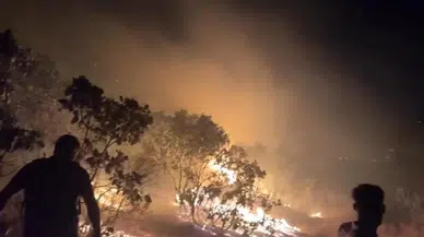 Diyarbakır'da Orman Yangını Kontrol Altına Alındı
