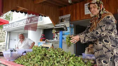 TMO'nun Açıkladığı Fındık Fiyatı 200 Lira, Tezgahlarda Fiyat 300 Lira Oldu