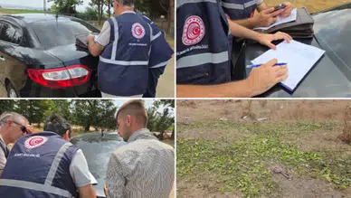 Hayvanlarına Yem Olarak Verdiği Biberler Nedeniyle Çiftçiye Ceza Uygulandı
