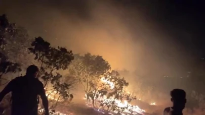 Diyarbakır'da Orman Yangını Kontrol Altına Alındı